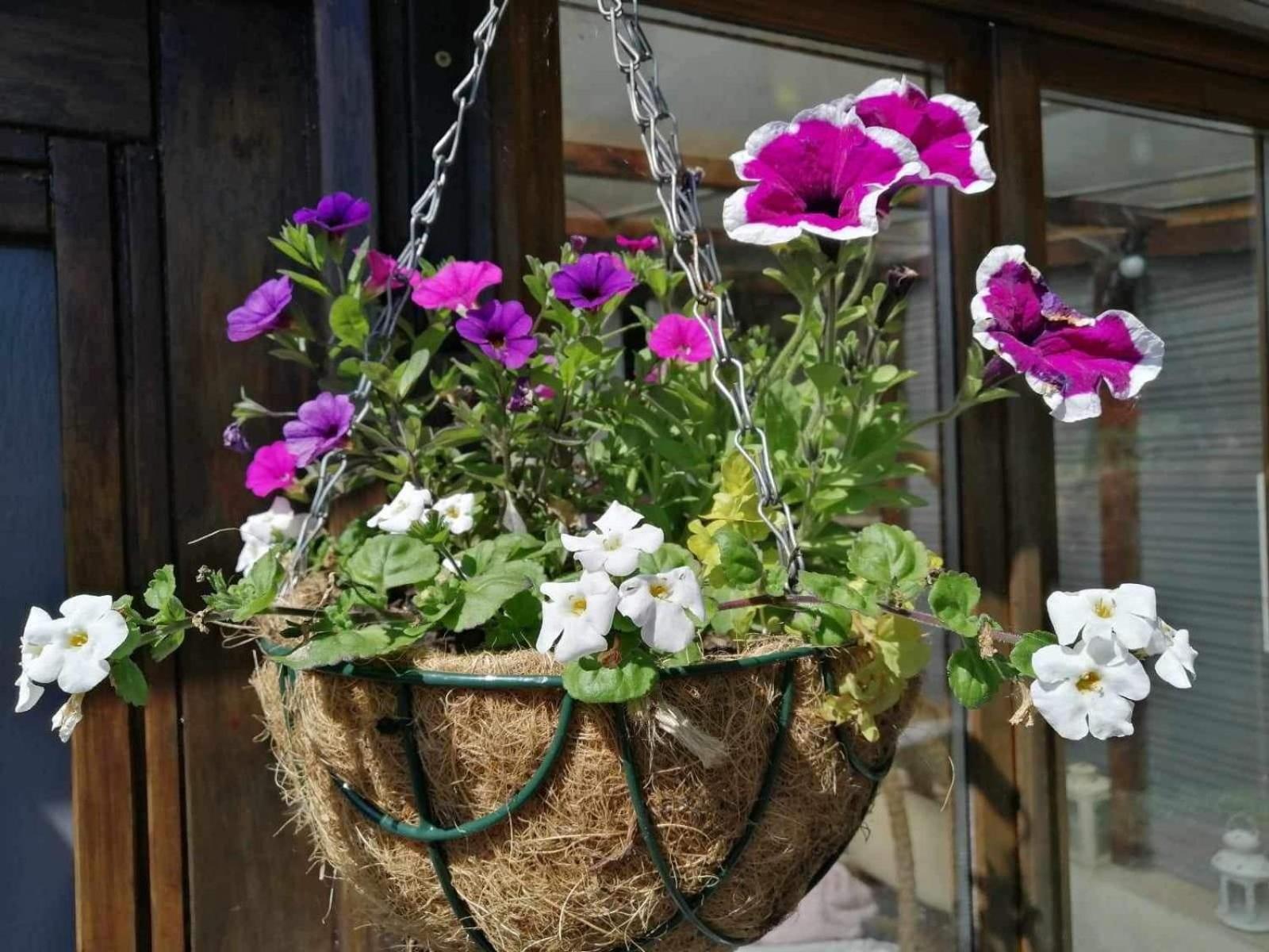 Normand Holiday Home - Vire Calvados Relaxing Rural Retreat Le Reculey Екстер'єр фото